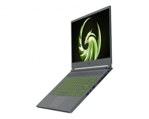 MSI Delta 15 A5EFK-1