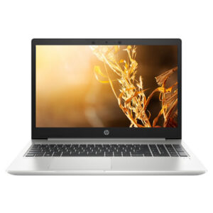 HP ProBook 455 G7-3